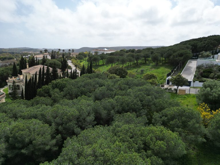 Plot for Sale in Sotogrande, Malaga 24
