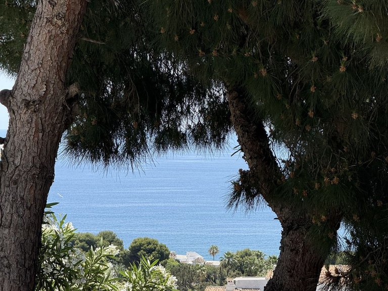 Villa for Sale in Riviera Del Sol, Malaga 49