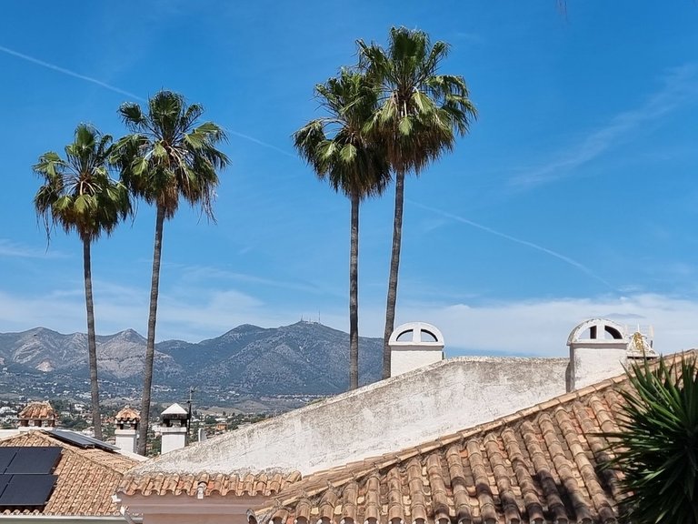 Villa for Sale in Mijas, Malaga 6