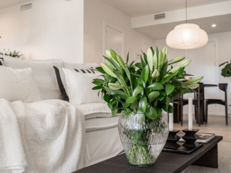 Apartment for Sale in Benahavís, Malaga 9
