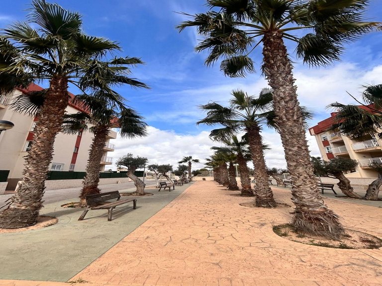 Apartment for Sale in Lomas De Cabo Roig, Alicante 8
