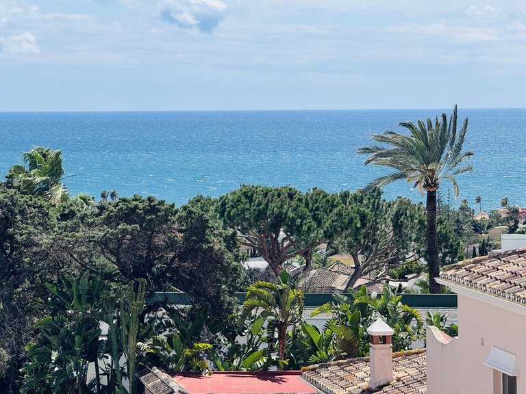Villa for Sale in Elviria, Malaga 6