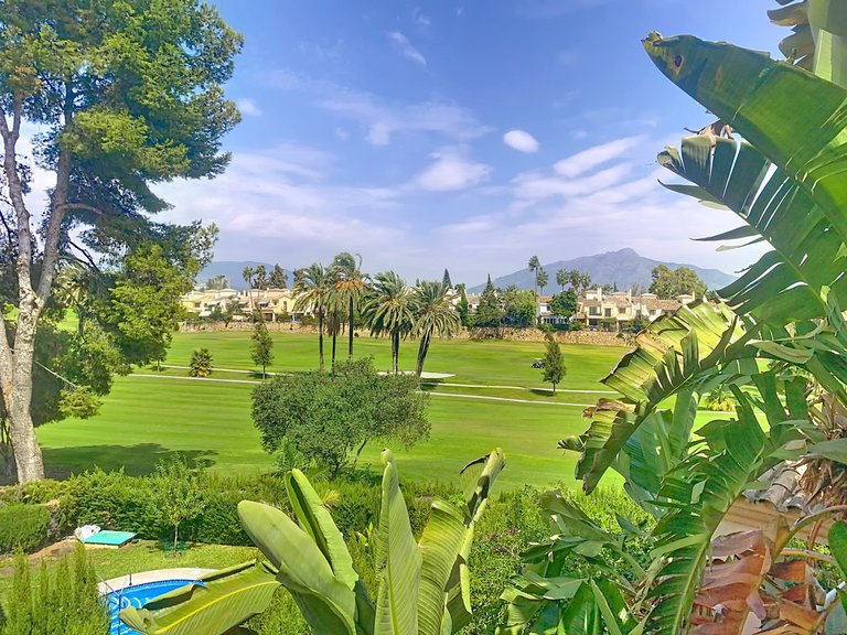 Villa for Sale in Guadalmina Alta, Malaga 3