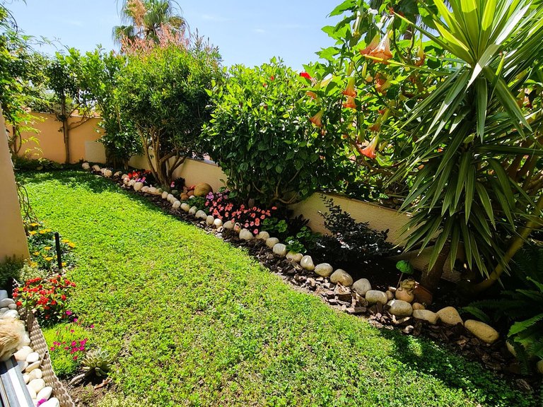 Apartment for Sale in Calahonda, Malaga 6