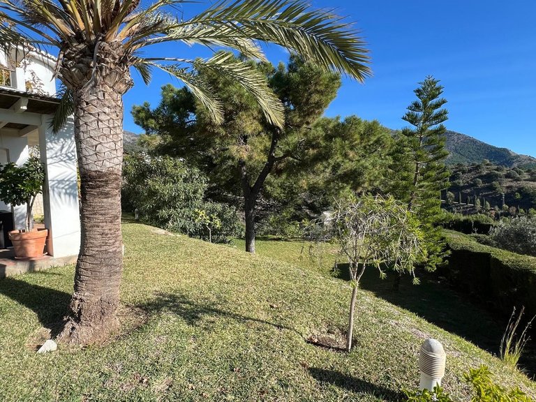 Villa for Sale in Mijas, Malaga 41