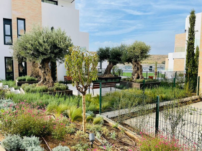 Apartment for Sale in Estepona, Malaga 21