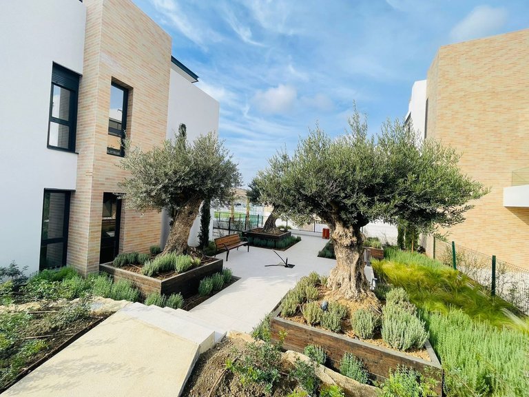 Apartment for Sale in Estepona, Malaga 22