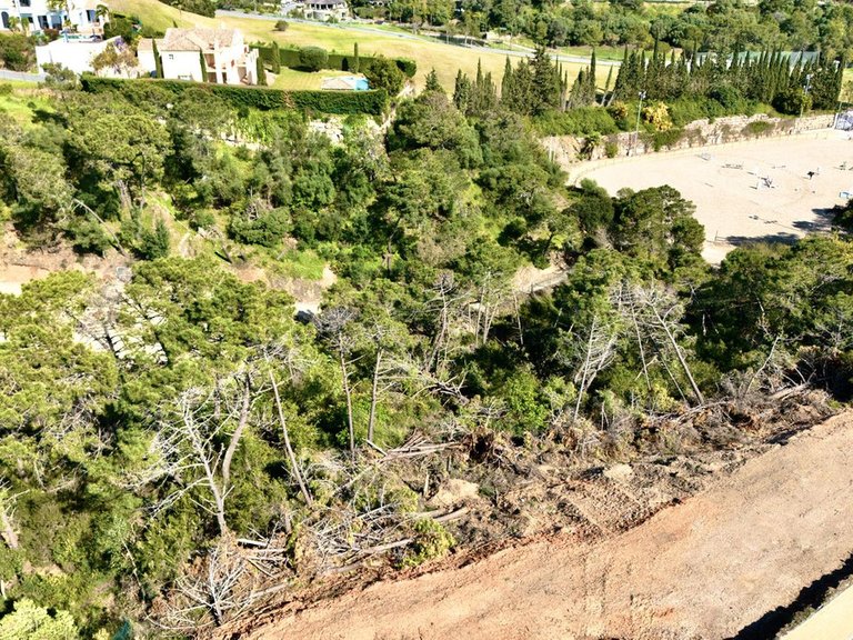 Plot for Sale in Benahavís, Malaga 11