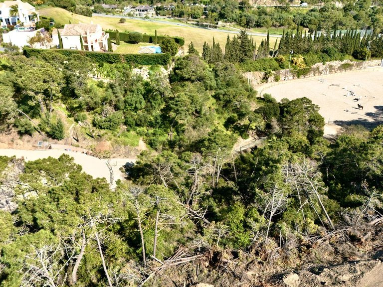 Plot for Sale in Benahavís, Malaga 3