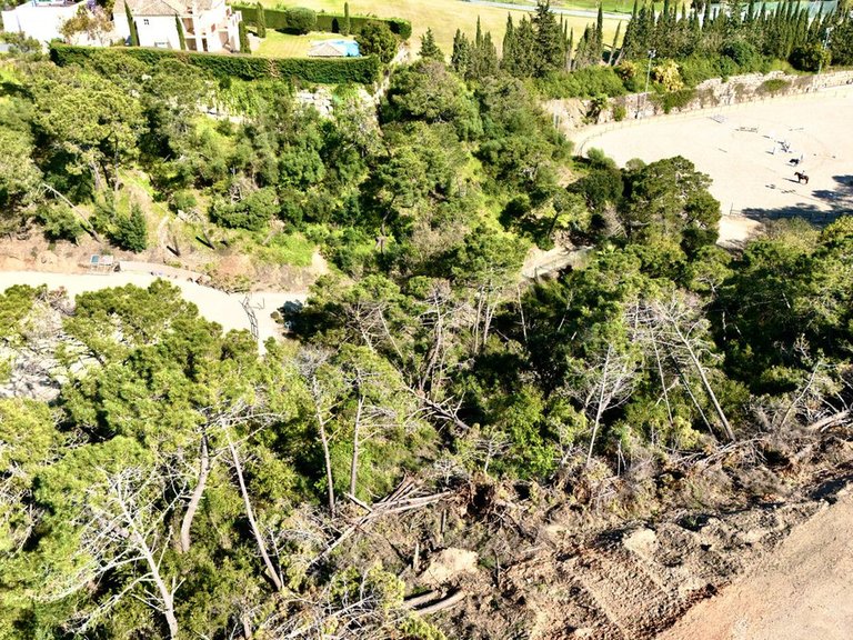 Plot for Sale in Benahavís, Malaga 4