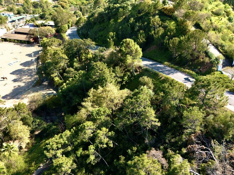 Plot for Sale in Benahavís, Malaga 6
