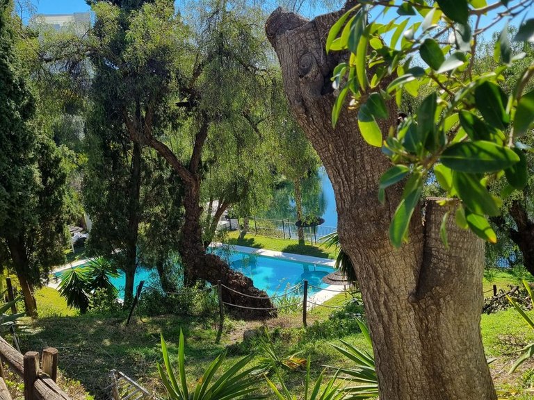Apartment for Sale in La Quinta, Malaga 6