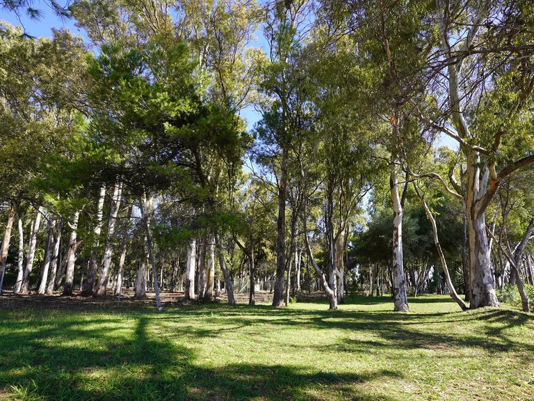 Villa for Sale in Estepona, Malaga 33