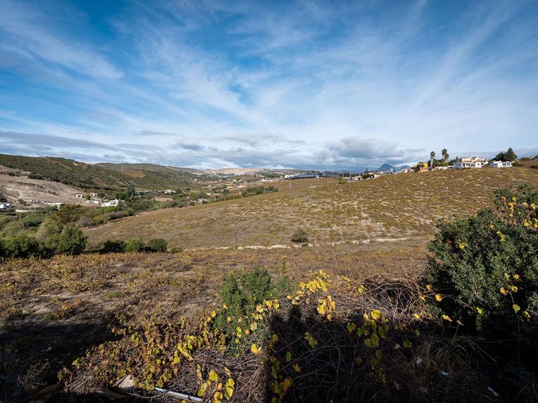 Country House for Sale in Manilva, Malaga 3