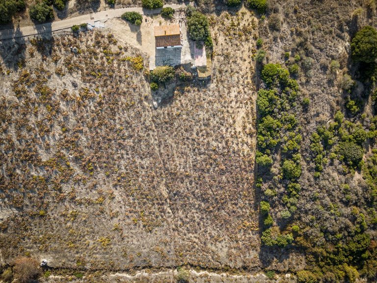 Country House for Sale in Manilva, Malaga 5