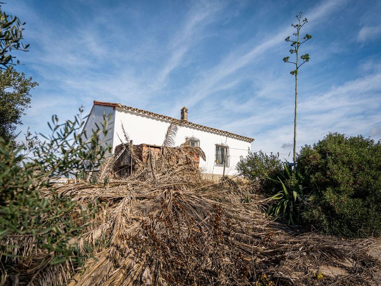 Country House for Sale in Manilva, Malaga 8