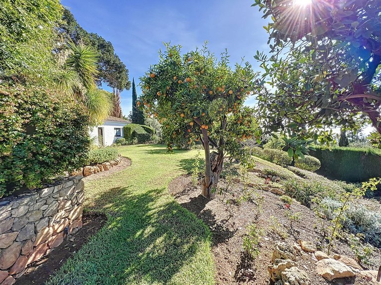 Villa for Sale in Mijas, Malaga 45