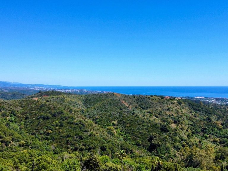 Plot for Sale in Estepona, Malaga 5