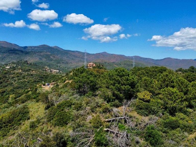 Plot for Sale in Estepona, Malaga 6