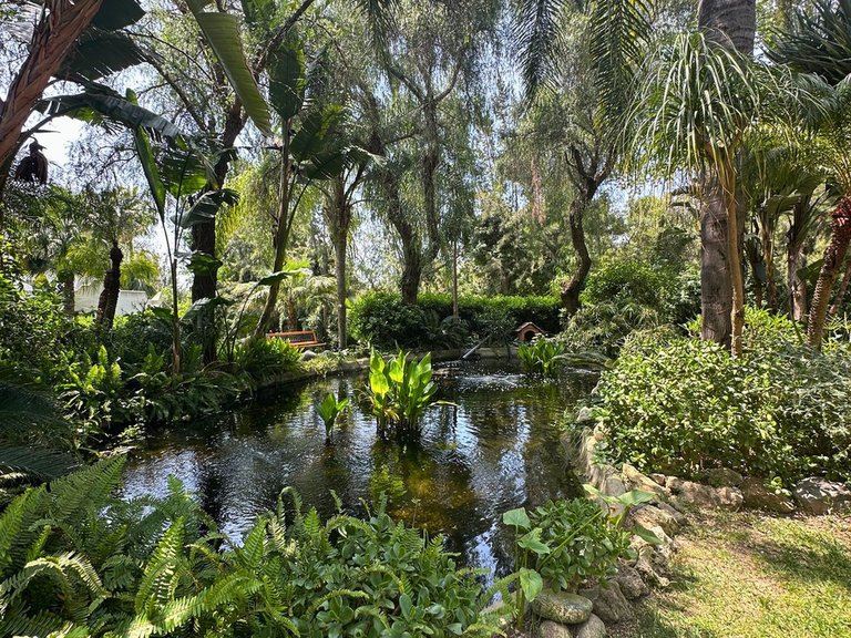 Apartment for Sale in Reserva De Marbella, Malaga 18