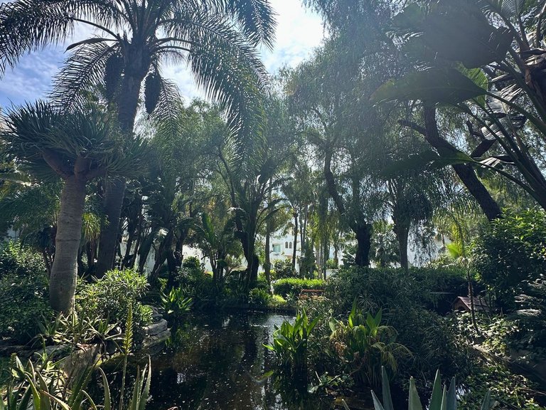 Apartment for Sale in Reserva De Marbella, Malaga 21