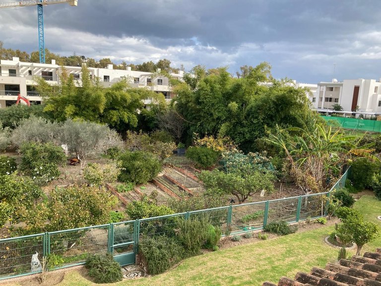 Villa for Sale in Casares Playa, Malaga 12