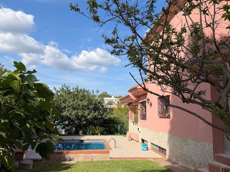 Villa for Sale in Casares Playa, Malaga 3