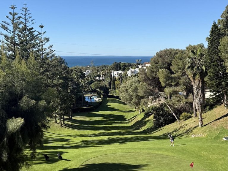 Apartment for Sale in Calahonda, Malaga 20