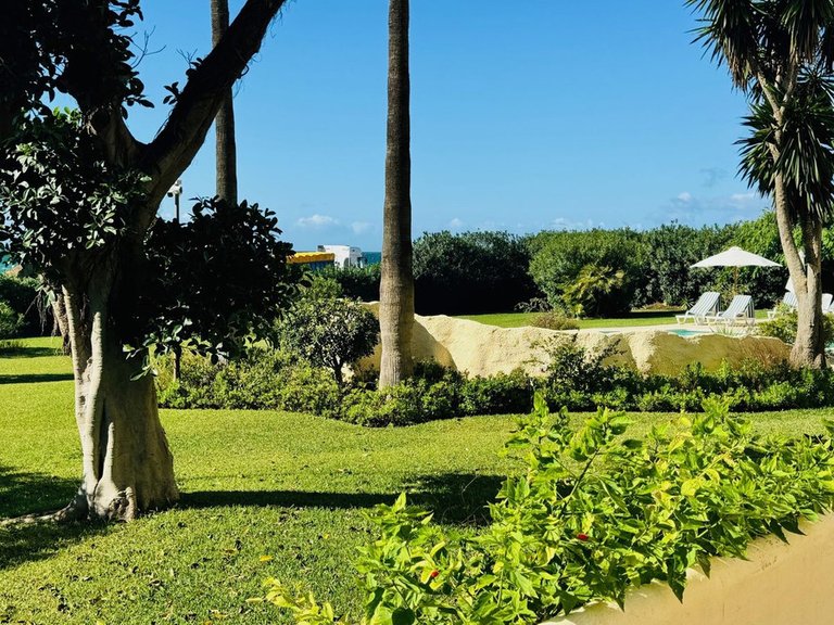 Apartment for Sale in Elviria, Malaga 15