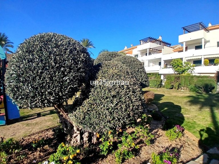 Apartment for Sale in Estepona, Malaga 16
