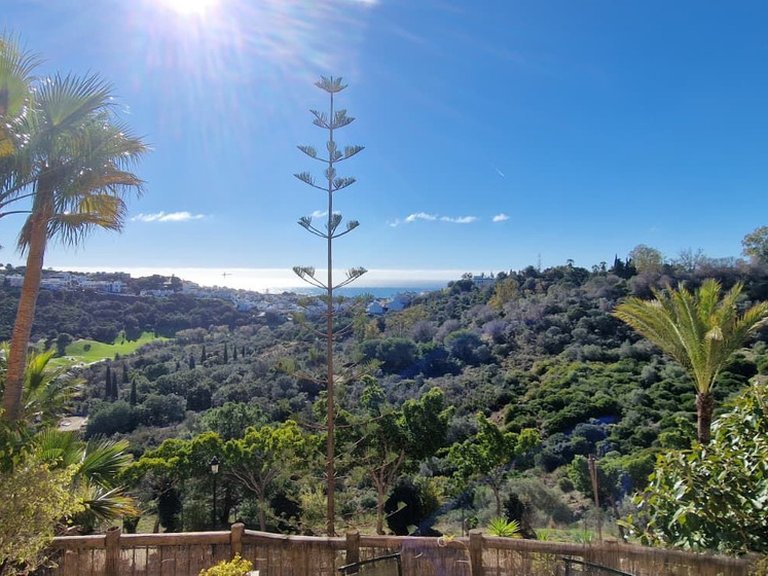 Apartment for Sale in Costa del Sol Reserva De Marbella, Malaga 20