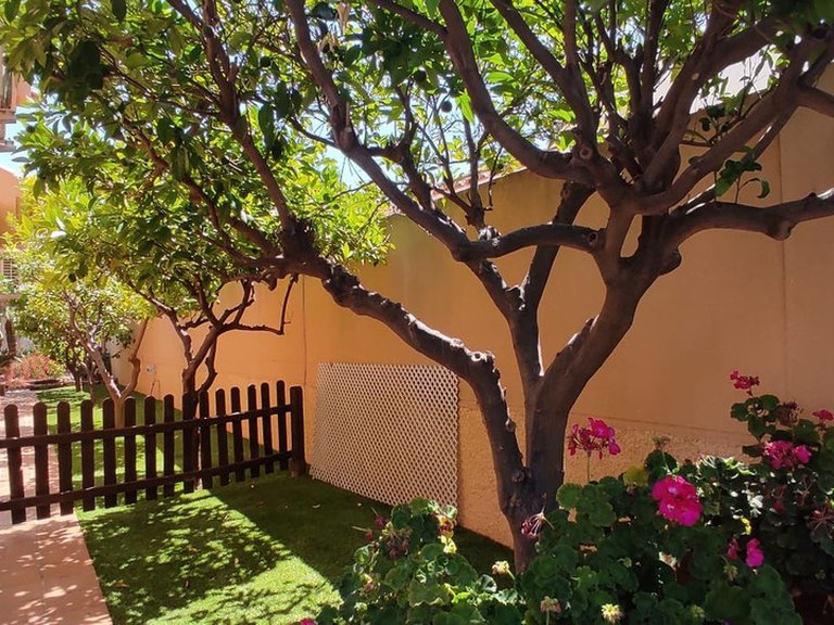 Villa for Sale in Costa Calida San Javier, Murcia 9