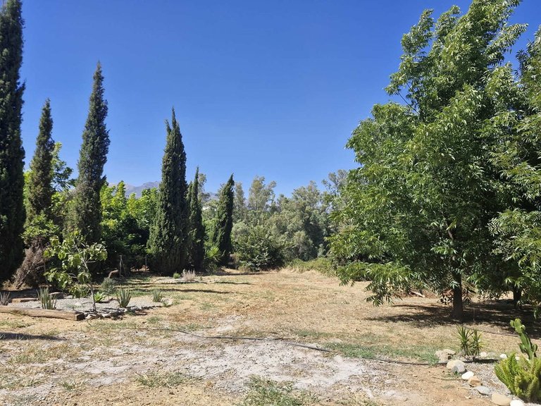 Villa for Sale in Coín, Malaga 27