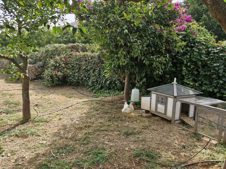 Villa for Sale in Coín, Malaga 34