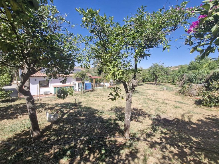 Villa for Sale in Coín, Malaga 35