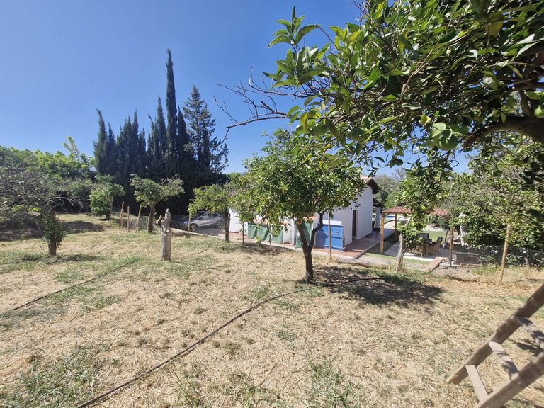 Villa for Sale in Coín, Malaga 36