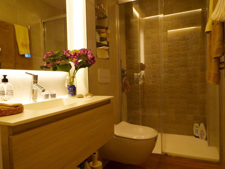 Apartment for Sale in Estepona, Malaga 19