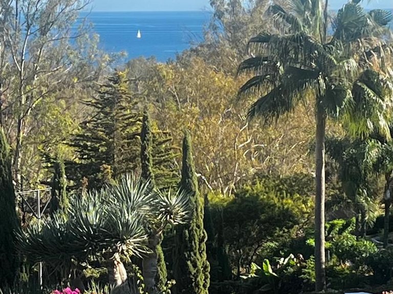 Apartment for Sale in The Golden Mile, Malaga 20