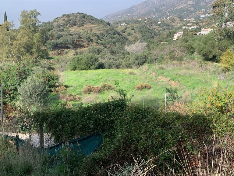 Villa for Sale in Mijas, Malaga 11