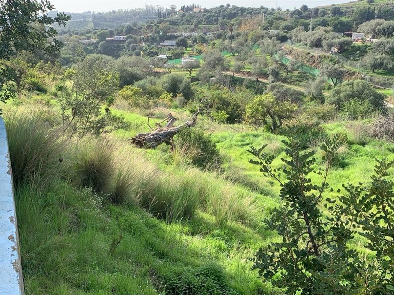 Villa for Sale in Mijas, Malaga 12