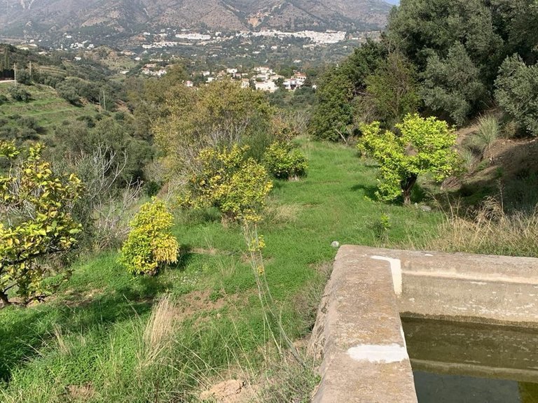 Villa for Sale in Mijas, Malaga 15