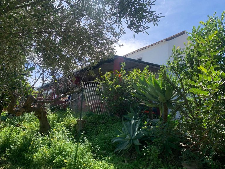 Villa for Sale in Mijas, Malaga 19