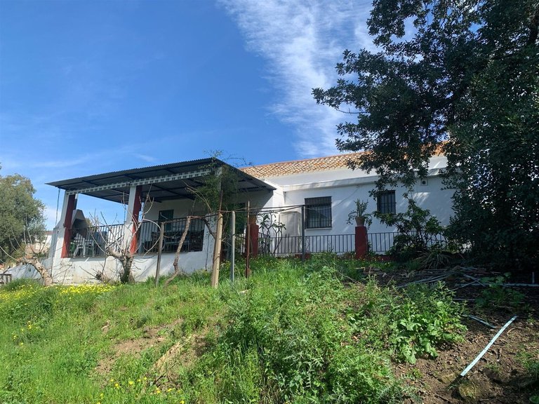 Villa for Sale in Mijas, Malaga 4