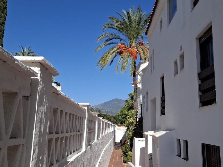 Apartment for Sale in Nueva Andalucía, Malaga 10