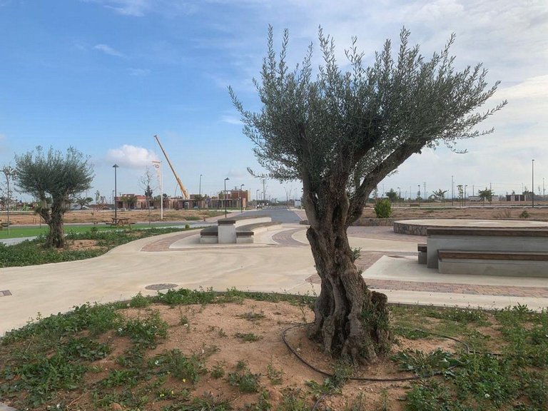 Villa for Sale in Roldan, Murcia 31