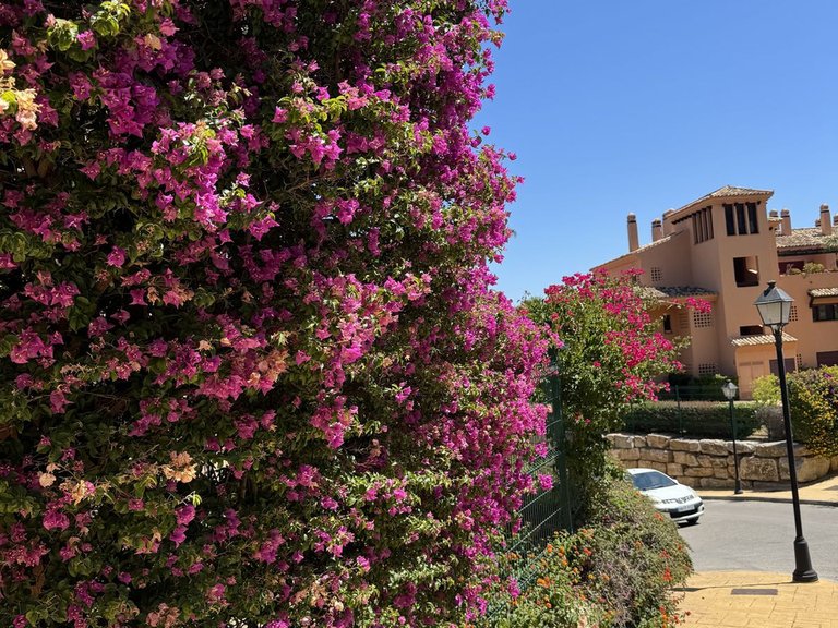 Apartment for Sale in Ojén, Malaga 5