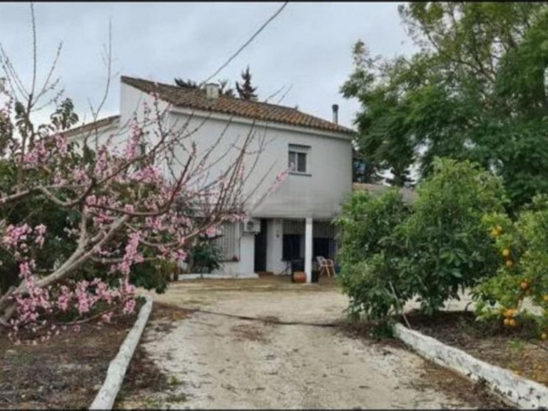 Villa for Sale in Campo Mijas, Malaga 4