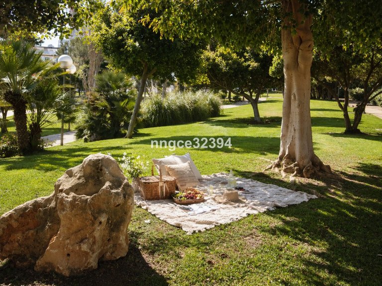 Apartment for Sale in Estepona, Malaga 12