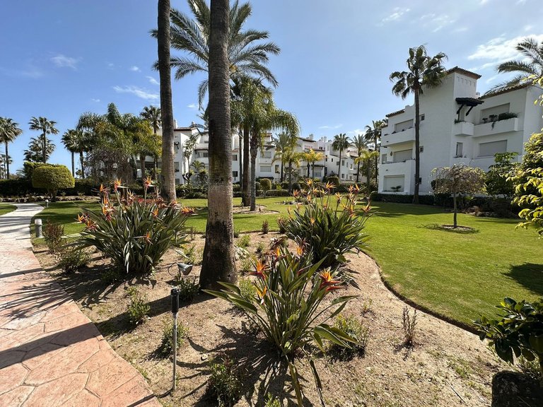 Apartment for Sale in Costalita, Malaga 33