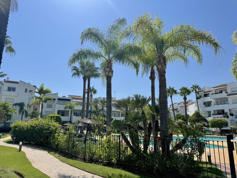 Apartment for Sale in Costalita, Malaga 39